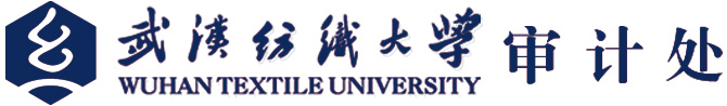 武汉纺织大学-审计处