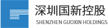 深圳市国新投资控股有限公司