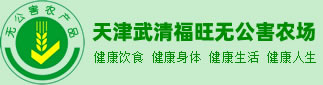 天津无公害蔬菜配送到家|天津无公害蔬菜采摘|天津绿色蔬菜送货上门_天津市武清区福旺无公害农场