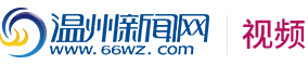 温州网视