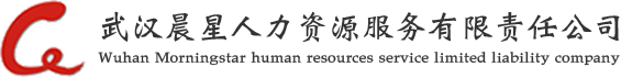 武汉晨星人力资源服务有限公司