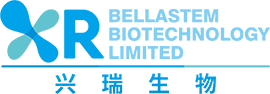 山东兴瑞生物科技有限公司