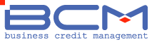 BCM Consulting