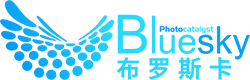 上海布罗斯卡科技有限公司
