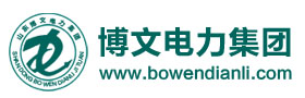 山东博文电力集团有限公司-中国电力，山东电力，电力集团，菏泽电力，变压器，新能源电力，智能化电力