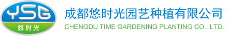 草坪批发价格|草坪基地|成都悠时光草坪批发公司