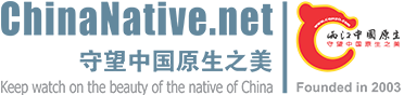 两江首页 -  两江中国原生--做中国最好的原生网络 -  Powered by Discuz!