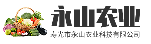 寿光市永山农业科技有限公司_寿光蔬菜种植销售型综合企业