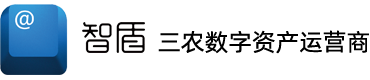 三农数字资产运营商 乡村振兴 数字乡村 未来乡村 系统开发 县域商业体系 杭州智盾信息技术有限公司官网