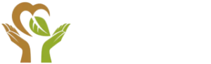 精品资源分享平台