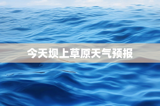个人气候总结