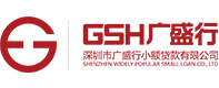 深圳市广盛行小额贷款有限公司 官网