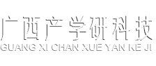 广西产学研信息科技有限公司