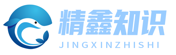 精鑫知识网 - 汇聚专业知识，启迪智慧之旅