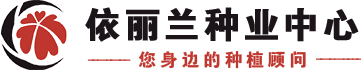 花卉种子|草坪牧草种子|中药材蔬菜花海种子|林木苗木|供应商|批发公司