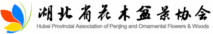 湖北省花木盆景协会