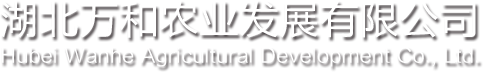 湖北茯砖茶生产厂家_茯砖茶价格_茯砖茶批发-湖北万和农业发展有限公司