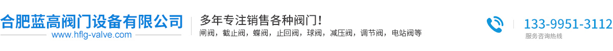 合肥蓝高阀门设备有限公司