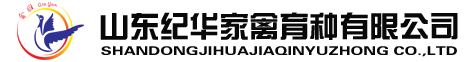 芦花鸡苗|土鸡苗--山东纪华家禽育种有限公司