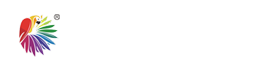 香港大彩国际教育集团
