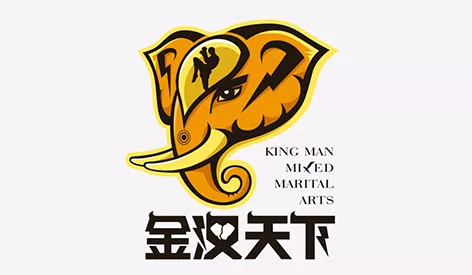 – 南京金汉天下体育文化发展有限公司