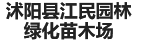 沭阳县江民园林绿化苗木场