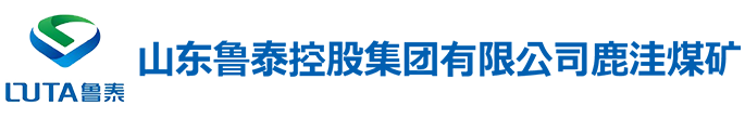 山东鲁泰控股集团有限公司鹿洼煤矿-鹿洼煤矿