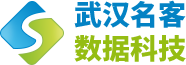 企业网站建设-数据获取推广-武汉名客数据科技有限公司