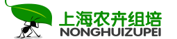 组培设备|组培室设计|组培实验室设计方案|组培室仪器设备全套价格|植物光照组培架-上海农卉组培生物公司