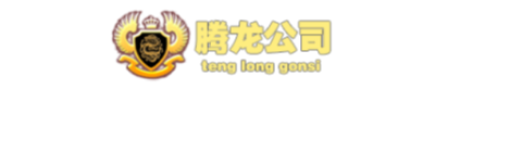 首页-腾龙公司总部直属