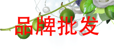 品牌购
