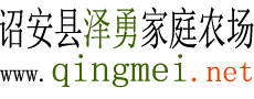 诏安县泽勇家庭农场 - 专门从事种植管理青梅生产销售推广梅子果梅及青梅酒相思梅话梅陈皮梅其产品的家庭农场