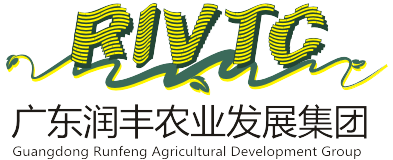 华南蔬菜网 - 广东润丰农业发展集团