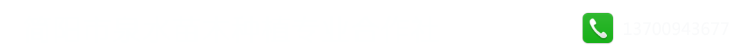首页--简阳市泉水苗木种植专业合作社