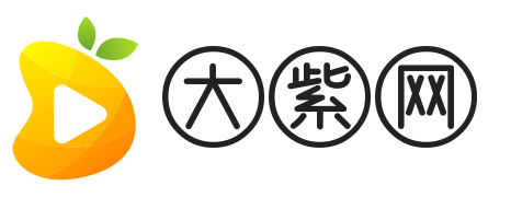 大紫网  -  又一个WordPress站点