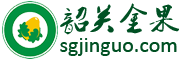 韶关市金果农业生态园有限公司|金果柚|沙田柚 - 金果柚,柚子,沙田柚,有机产品