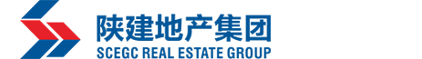 陕建地产集团