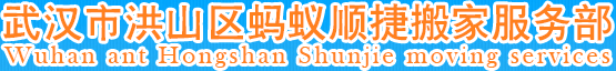 武汉搬家_武汉搬家公司_武汉市洪山区蚂蚁顺捷搬家服务部