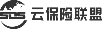 艾斯欧艾斯信息科技有限公司-云保险联盟-为您保驾护航