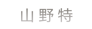 山东山野特房车制造有限公司