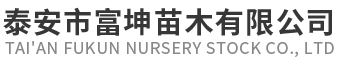 樱花基地_景观松价格_白皮松基地_五角枫价格|诚信为先-泰安市富坤苗木有限公司