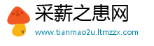 采薪之患网