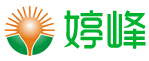 东莞市婷峰硅胶制品有限公司_专业硅胶制品_硅胶礼品生产厂家