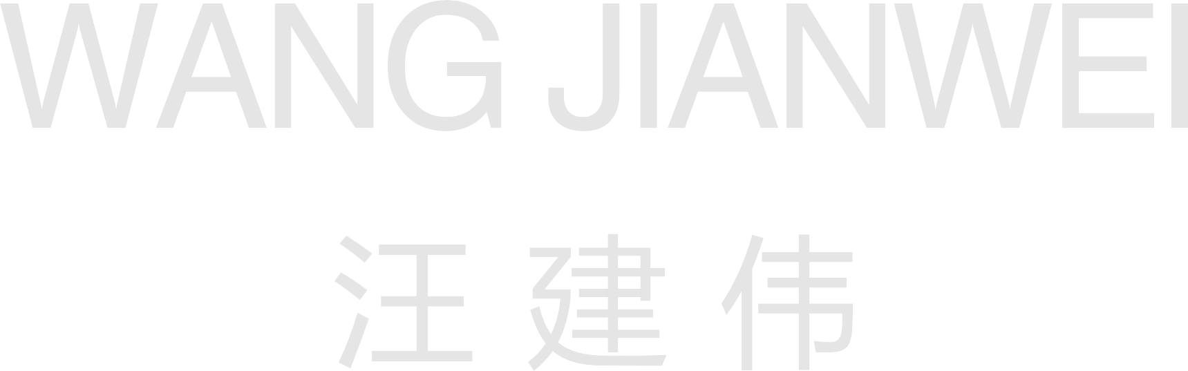 WANG JIANWEI
