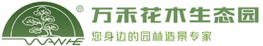 精品苗木,花木生态园,生态园景观设计,造型植物——万禾花木生态园