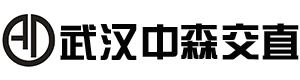 首页 - 武汉中森交直科技有限公司