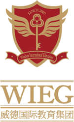 Wisdom International Education Group