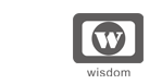 H.K. WISDOM TECHNOLOGY LIMITED