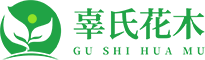 栾树_蓝花楹_朴树_红榉_乐山市市中区辜氏花木专业合作社