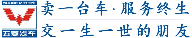 电动观光车-电动巡逻车-电动消巡车-垃圾清运车,生产制造厂家-五菱_